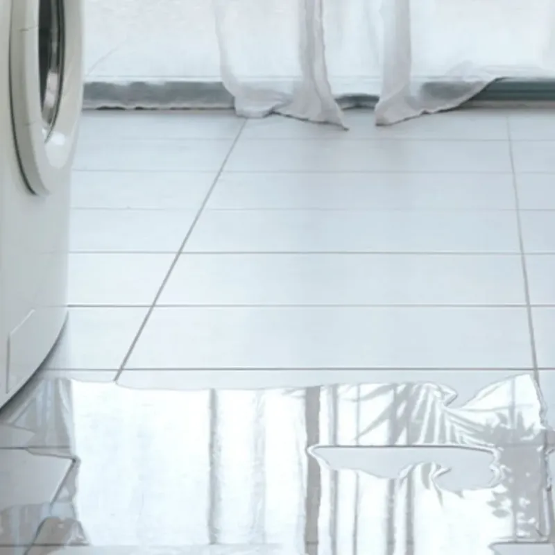 Appliance Leak Cleanup in Anchorage Municipality, AK