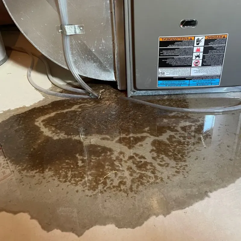 Pipe Burst and Leak Restoration in Anchorage Municipality, AK