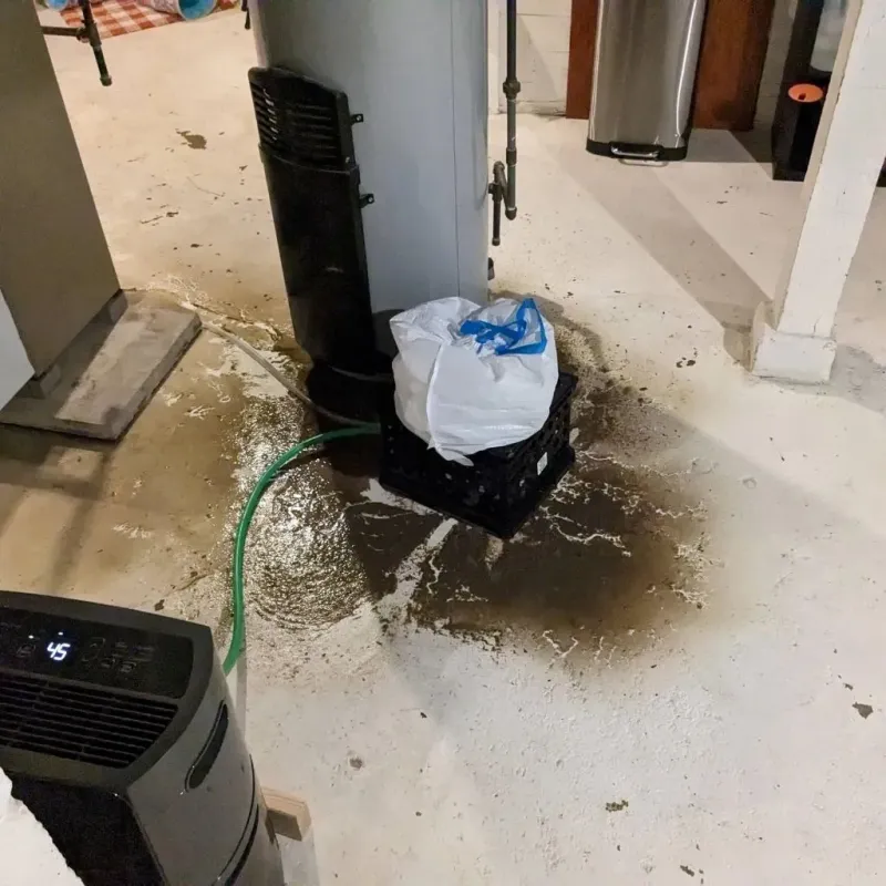 Sewage Backup Cleanup Service in Anchorage Municipality, AK